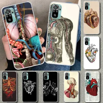 Meditsiini-Inimese Anatoomia Telefoni Puhul Xiaomi 12 11T 10 9 Redmi Lisa 11 10 10S Pro Redmi 9 9A 8 Läbipaistva Telefoni Kate