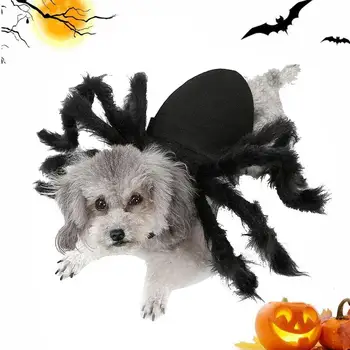 Spider Halloween Kostüüm Lemmikloomade Simulatsiooni Lõbus Varustus Cosplay Isiku Rekvisiidid Karmea Halloween Cosplay Kostüüm Pool Väikestele